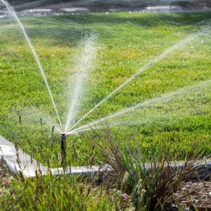 how much should a lawn irrigation system cost